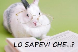 lo sapevi che
