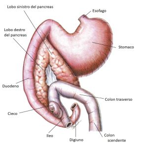 diabete